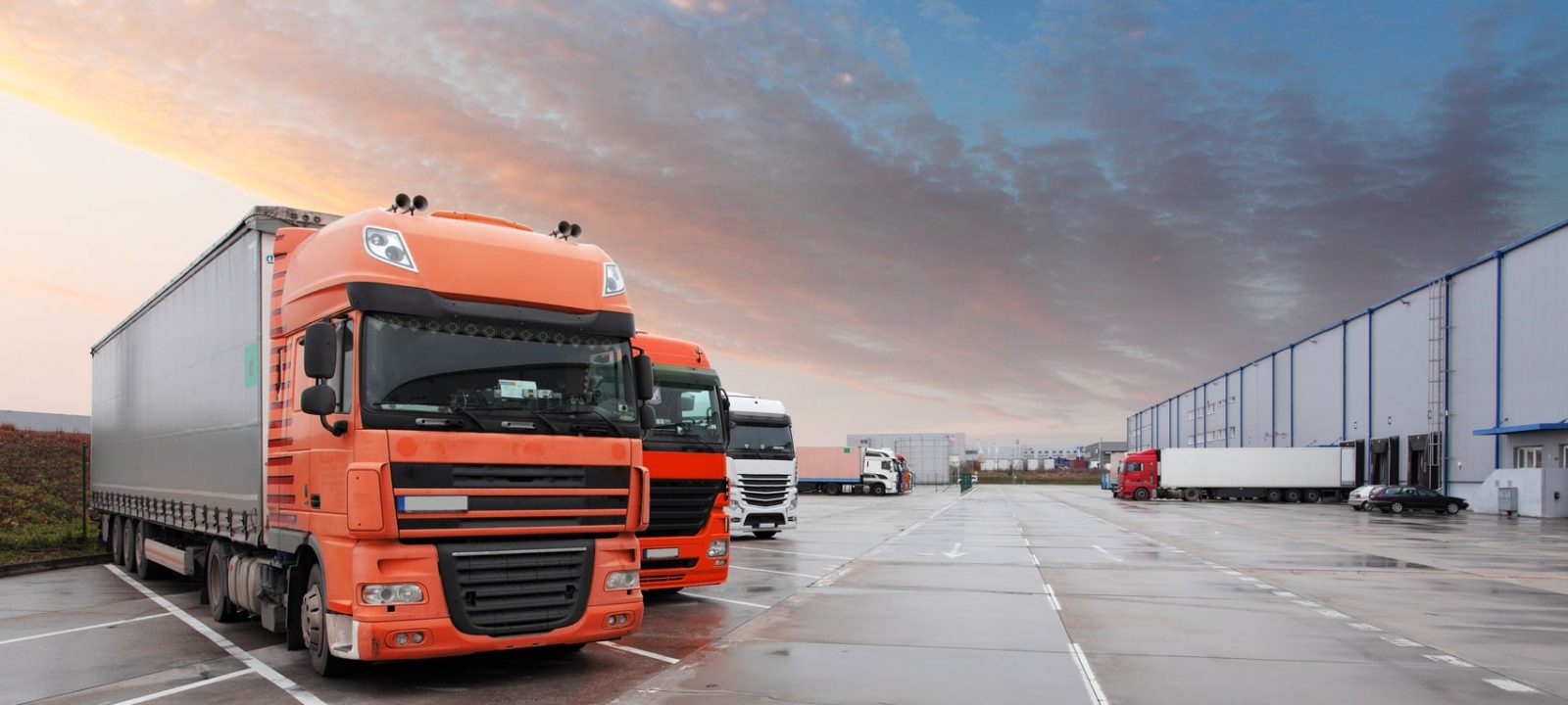 Formation FIMO Marchandises - Vignette