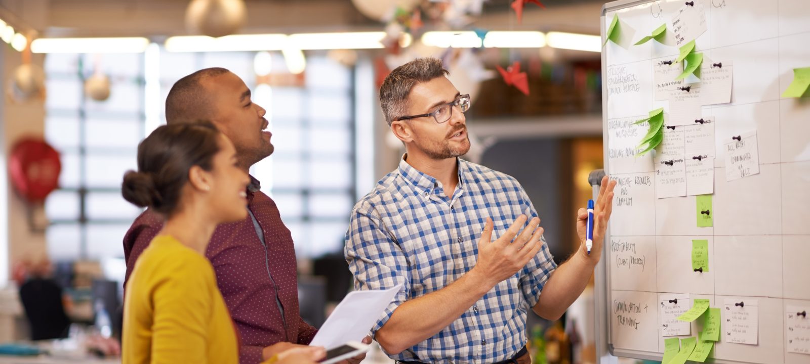 Formateur professionnel