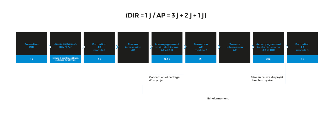 Dispositif sectoriel TRL : schématisation du parcours de formation et d'accompagnement du dirigeant et de l'AP TRL